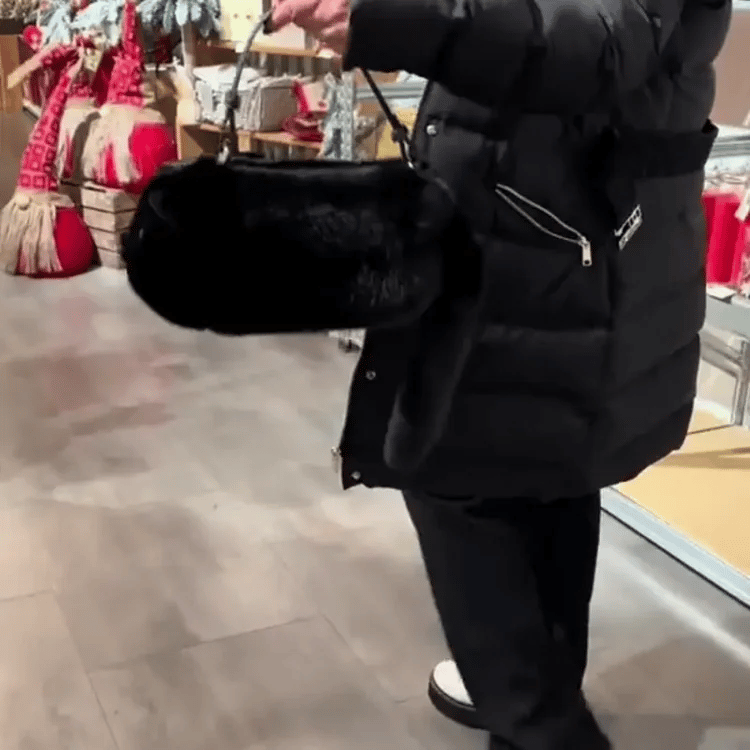 Wagpurse – Kitty Cat Handbag