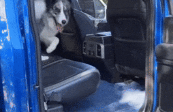 https://bucket-o39pcy.s3.ap-southeast-1.amazonaws.com/cdn_reup/202406/1cebe88b0c189f6892eafc6179db1eecb1354e1d.gif Hard Bottom Car Seat Cover