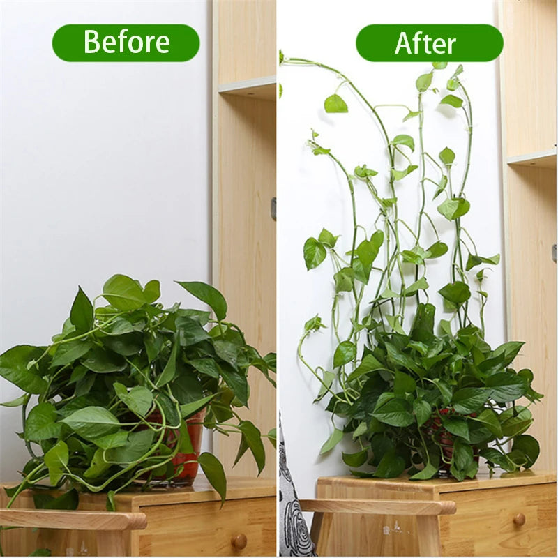 		Self-adhesive Plant Holder Mini Wall Clips	