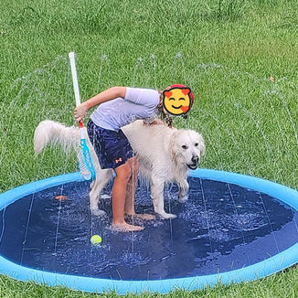 Splash Pad – Endless Doggy Summer Fun!