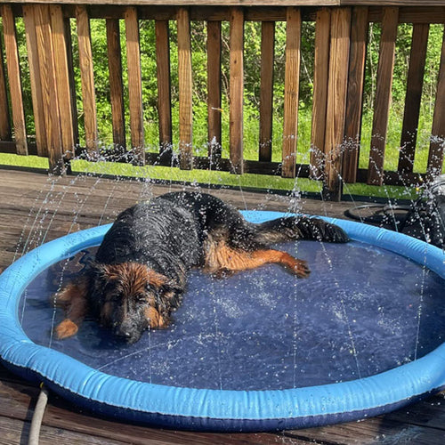 Splash Pad – Endless Doggy Summer Fun!