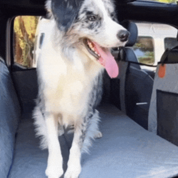 https://bucket-o39pcy.s3.ap-southeast-1.amazonaws.com/cdn_reup/202406/4b608367fc868ff7ab9b615cdebab37f165200c8.gif Hard Bottom Car Seat Cover