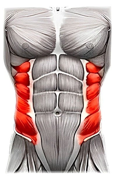 Tacticalx Abs Stimulator