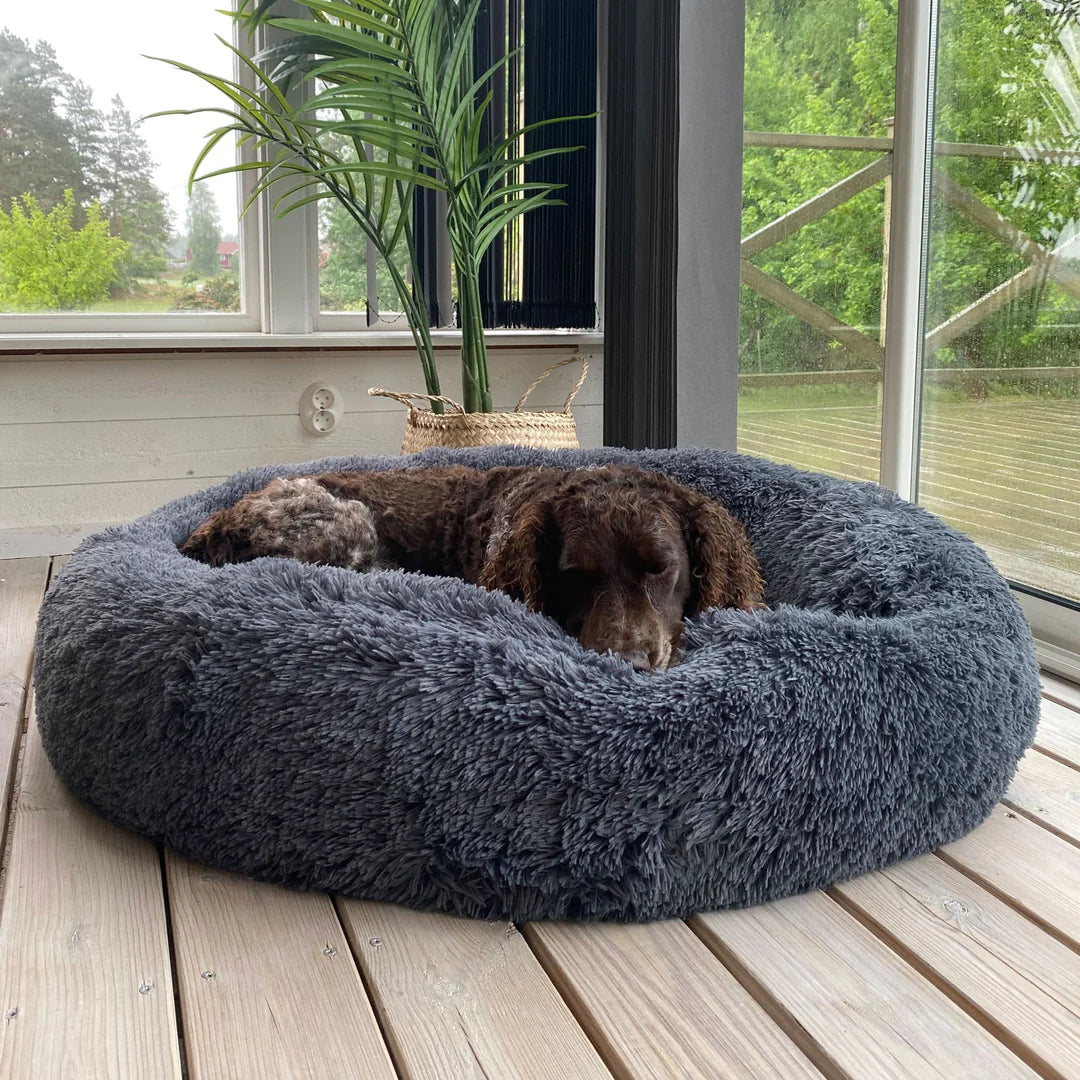Cooling Dog Bed