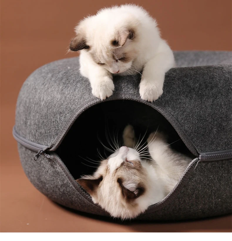 Cave Bed For Multiple Cats: The Ultimate Cozy Den