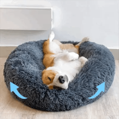 Cooling Dog Bed