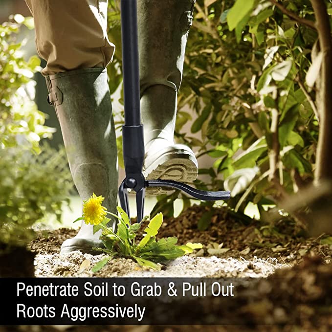 49% Off – New Detachable Weed Puller