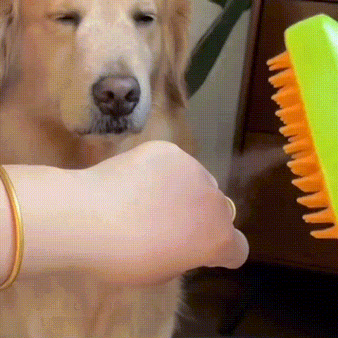https://bucket-o39pcy.s3.ap-southeast-1.amazonaws.com/cdn_reup/202406/fd9ab6b5a31ebe805106b5baeebe397722846535.gif Pet Grooming Steamy Brush