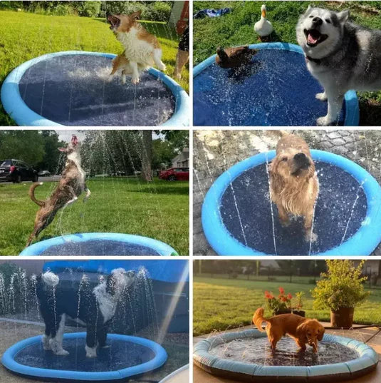 The Splashpad