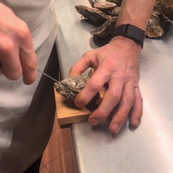 Oyster Shucking-clamp