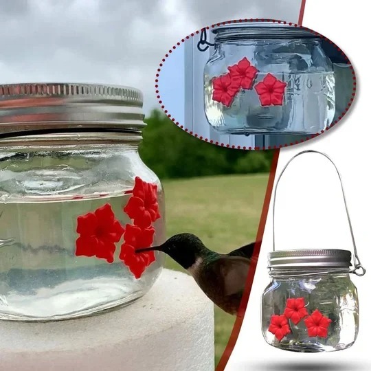 Last Day Promotion 50% Off – Beautiful Mason Jar Hummingbird Feeder W/three Ports