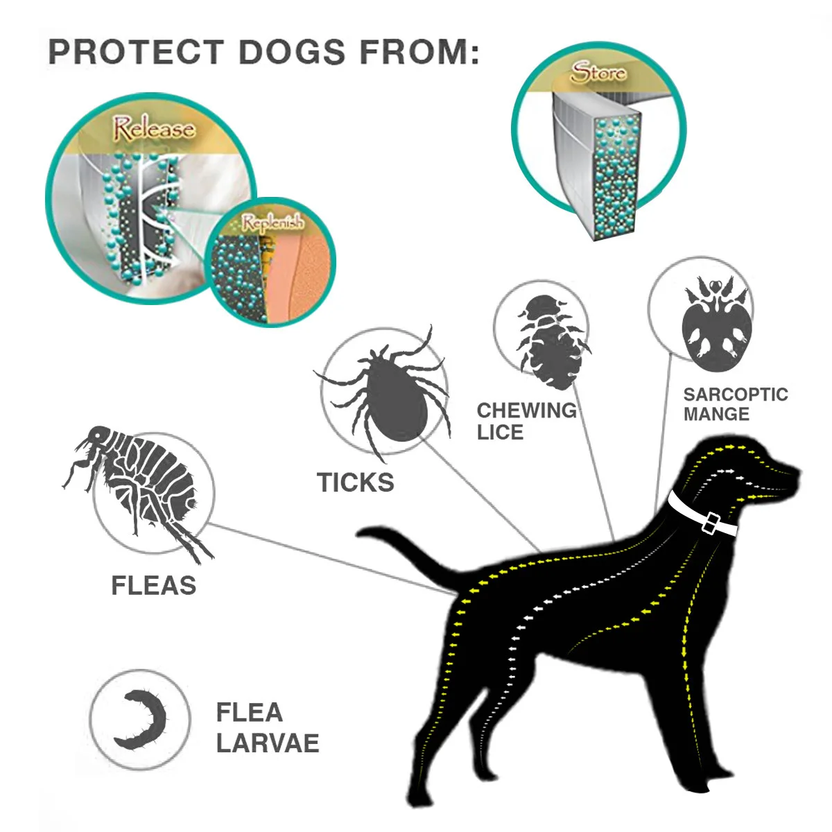 Flea Shield-collar For Pet