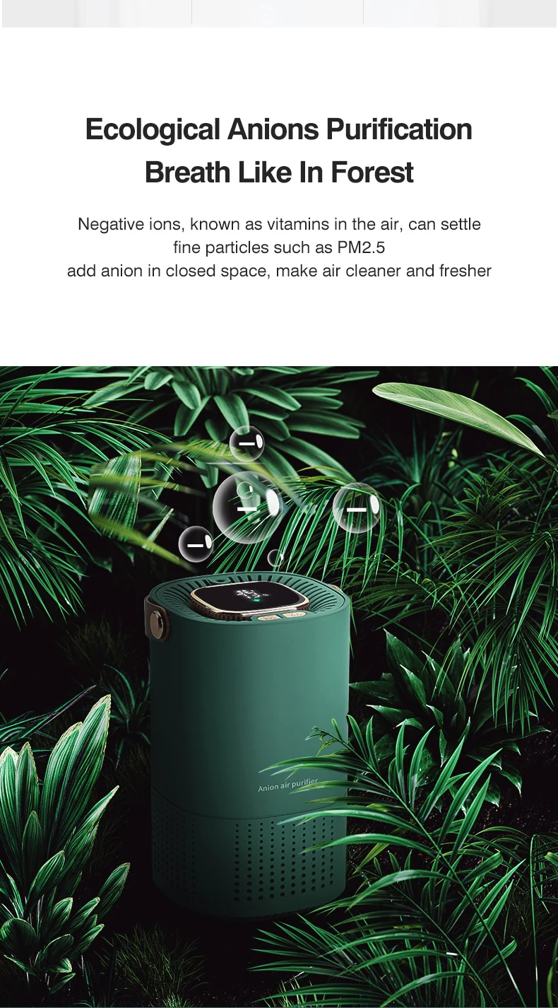 Airrigo – Air Purification