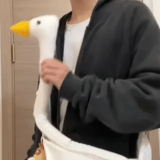 Silly Goose-bag – Honk Your Enemies