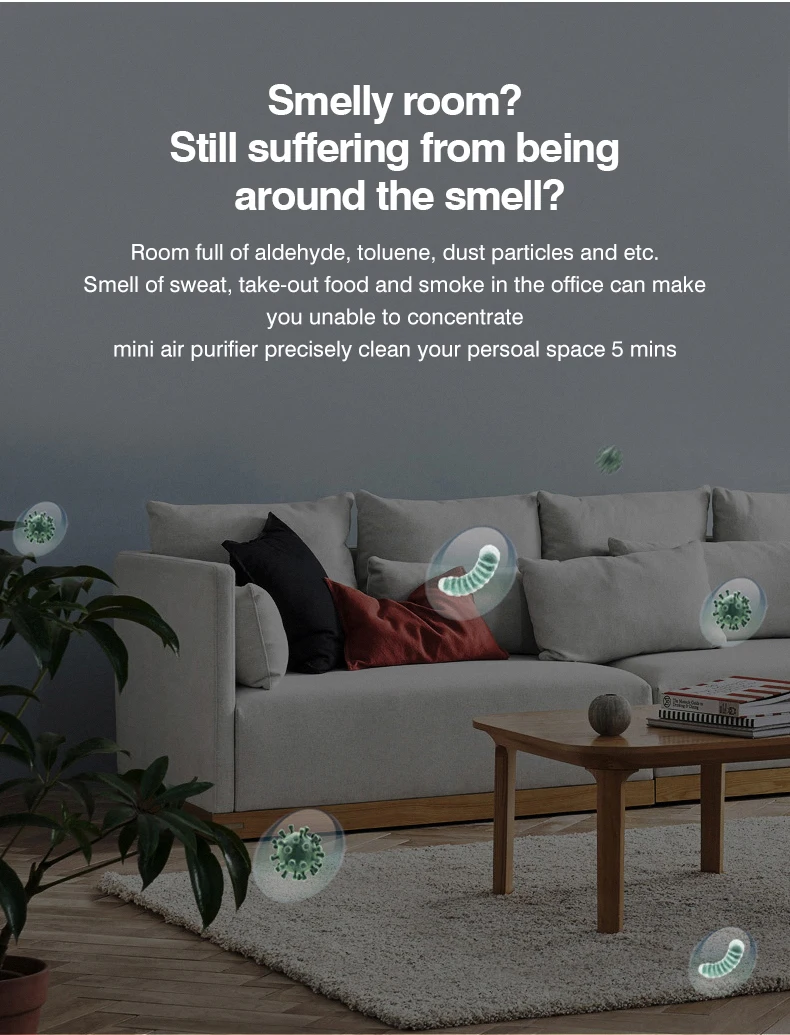 Airrigo – Air Purification