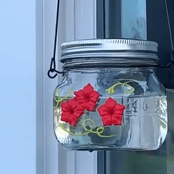 Last Day Promotion 50% Off – Beautiful Mason Jar Hummingbird Feeder W/three Ports