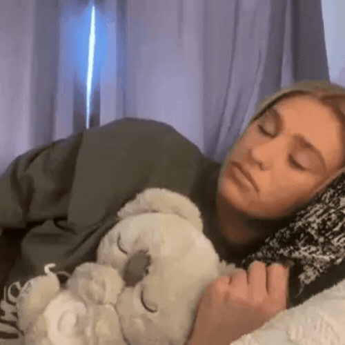 Breathing Calming Koala