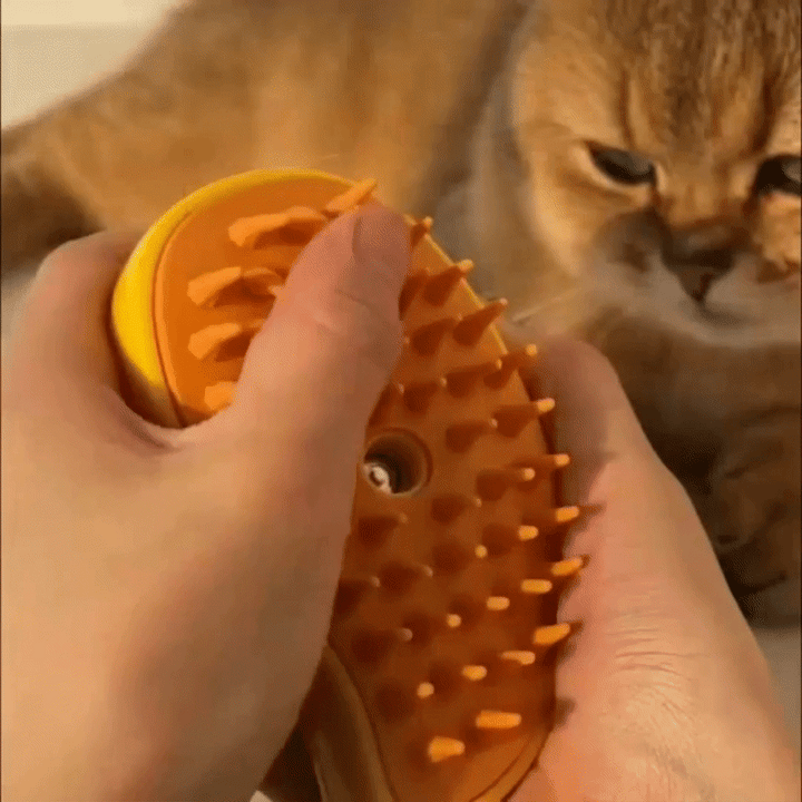 Cat Hair Steam Brush