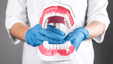 Zealthflow – Mouthpiece