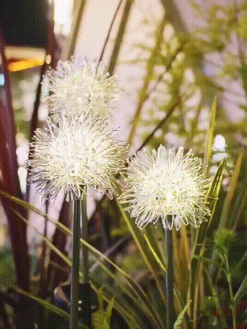 Last Day 50% Off – Waterproof-solar Powered-dandelion Lights