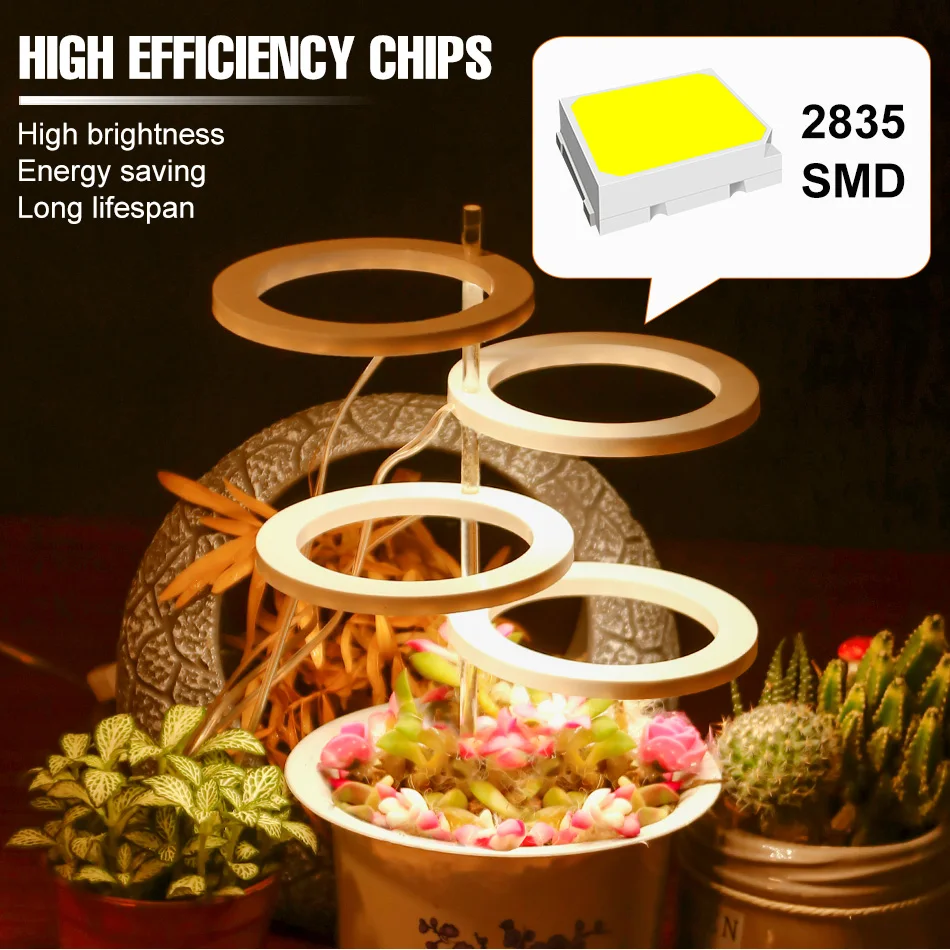 Thrivebeam™ – Flourish With Indoor Sun