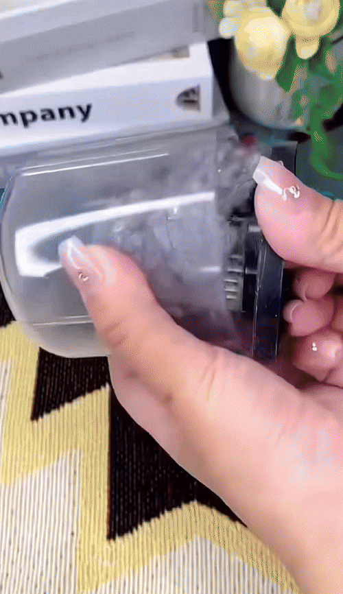 Vacuum Mite Remover
