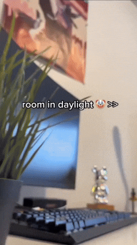 Twinklebear Lamp