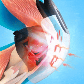 Cerellia Knee Massager