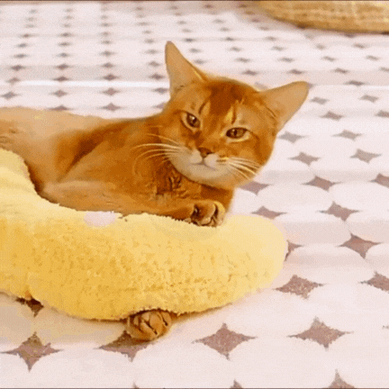 U-pillow For Pet
