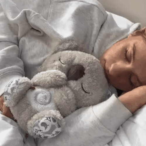 Breathing Calming Koala
