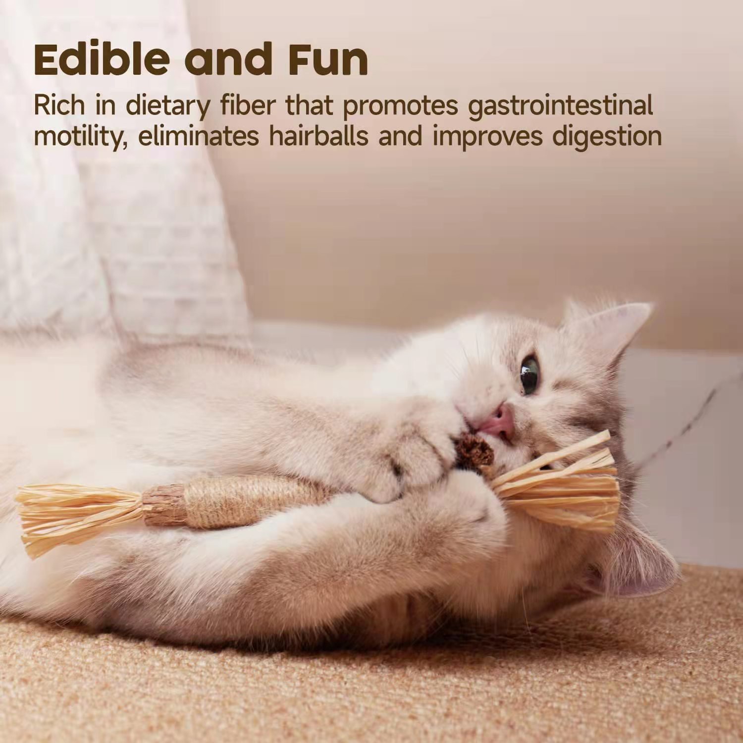 Cat Chew Toy