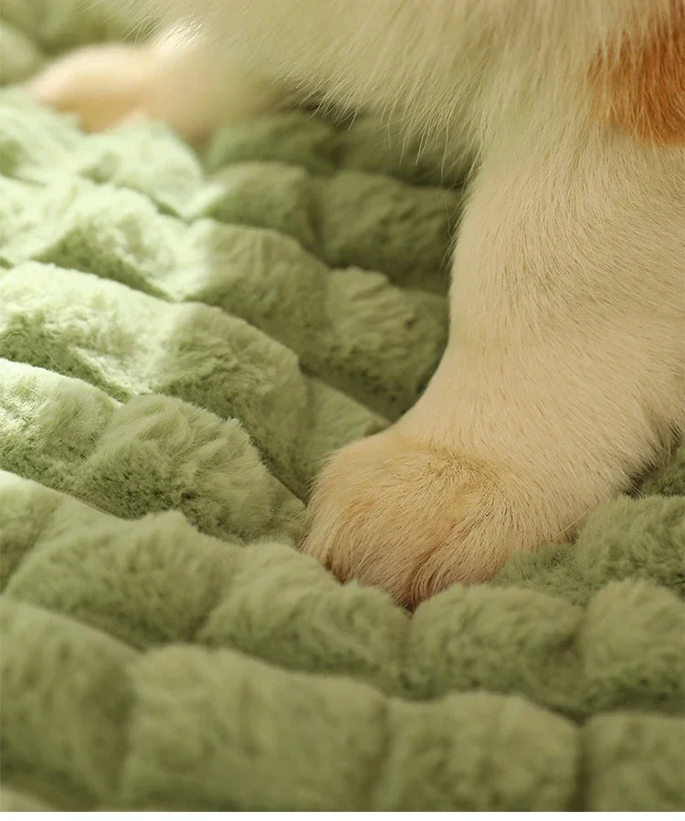 Cloud Calming Bed