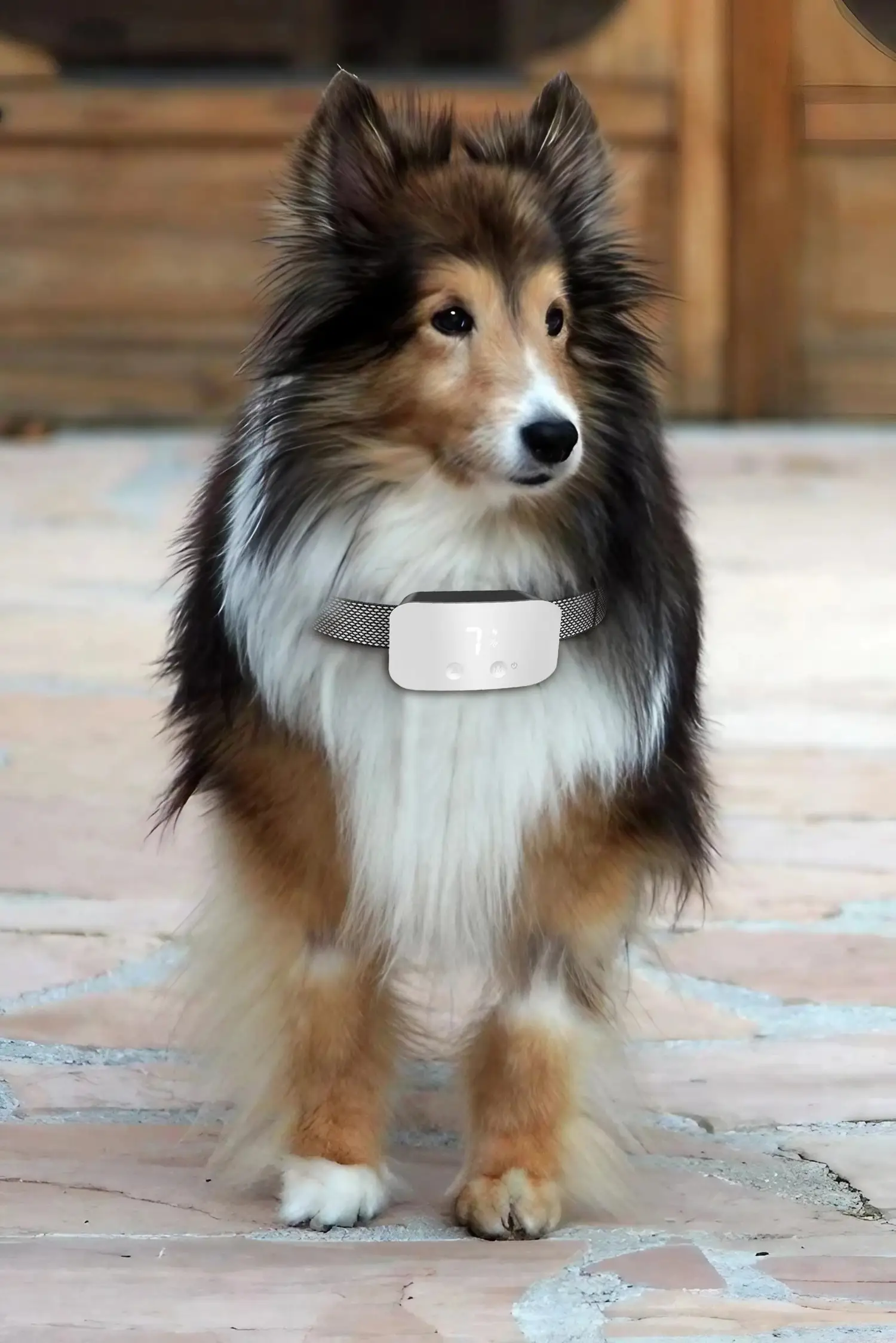 Smart Dog Anti-bark Collar