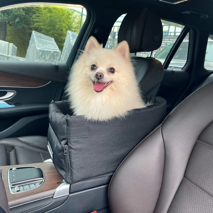 (Last Day Promotion 75% Off) – Utopica Pet Carpool Seat