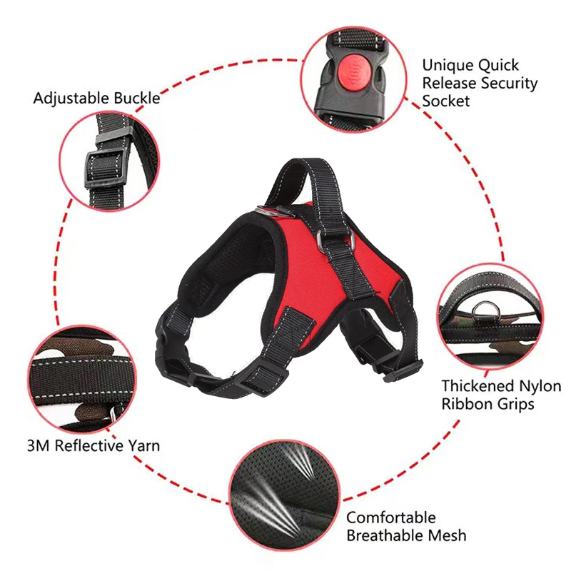 Dog Car Safety Kit