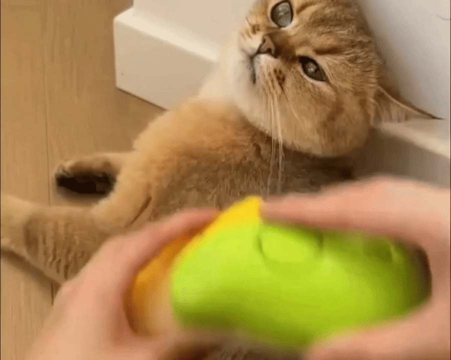 Cat Hair Steam Brush