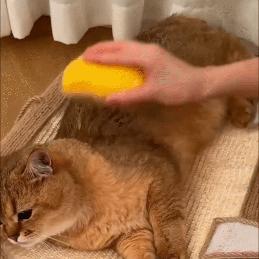 Cat Hair Steam Brush