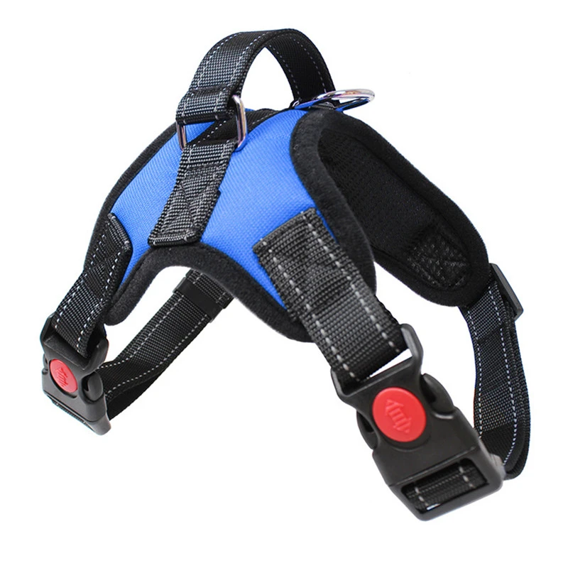 Dog Car Safety Kit