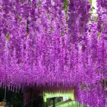 Vivid Artificial Hanging Orchid Bunch – Hot Sale 49% Off
