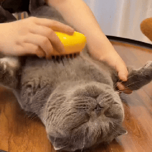 The Cuddle Comb