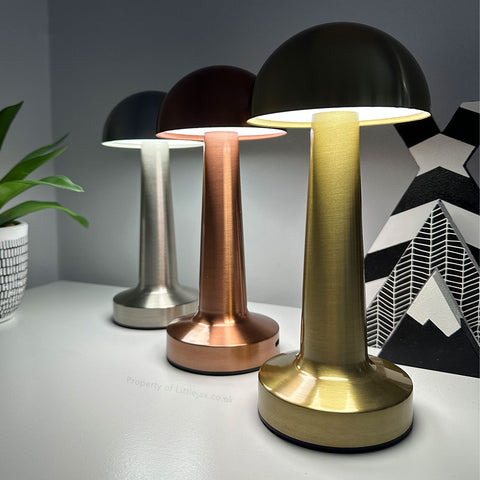 Ambient Dome Modern Cordless Pgs™