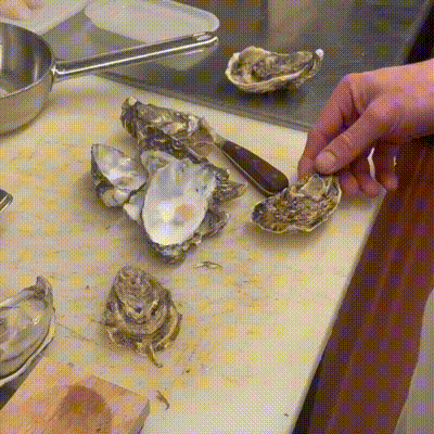 Oyster Shucking-clamp