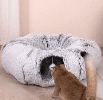 Cuddlitunnel™ Cat Bed
