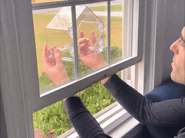 Window Bird Feeder