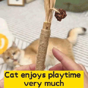 Cat Chew Toy