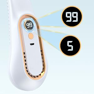Breeze Blisspro Bladeless Fan