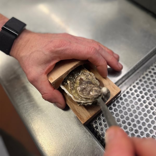 Oyster Shucking-clamp