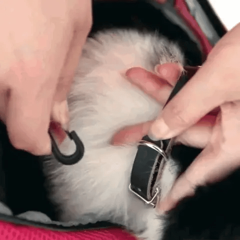 Pawslover™ Pet Backpack Carrier