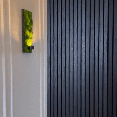 Lumaglo Cordless Wall Lamp
