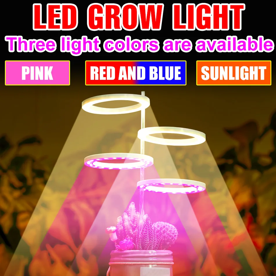 Thrivebeam™ – Flourish With Indoor Sun